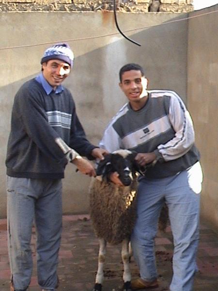                                 --)nabil et oussama(--