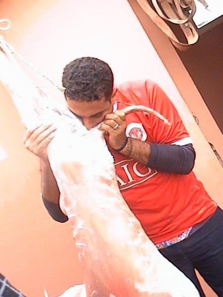 ----------------------------------> HhHhHhHh