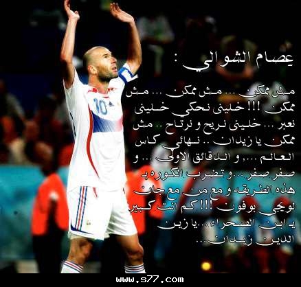 -------------------------------------> ZiZo